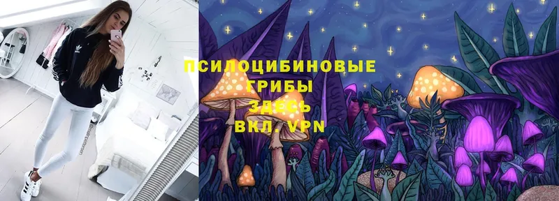 Псилоцибиновые грибы Cubensis  Фролово 